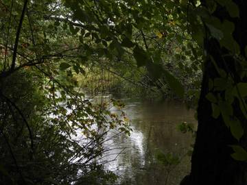 Feriehus til 6 Personer i Napstjert, Ålbæk, Bilde 2