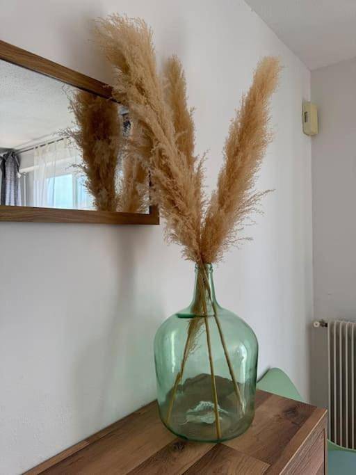 Location de vacances pour 6 personnes, avec piscine et terrasse à Saint-Estève - 2