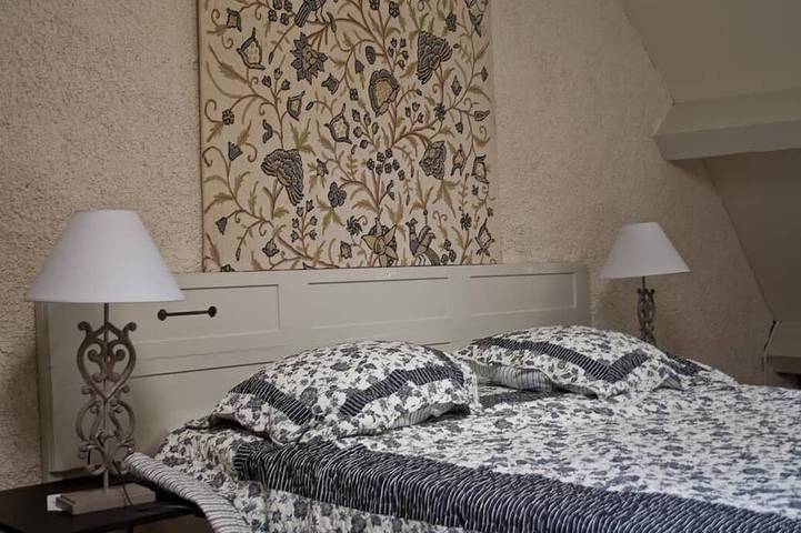 Location de vacances pour 8 personnes, avec jardin, animaux acceptés à Saissac - 3