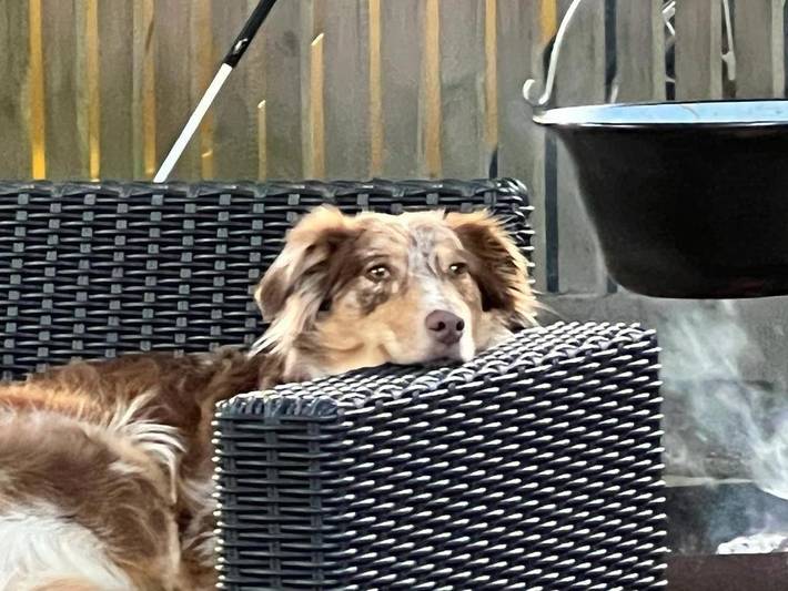 Gîte pour 7 personnes, avec jardin à Ralingen - 3