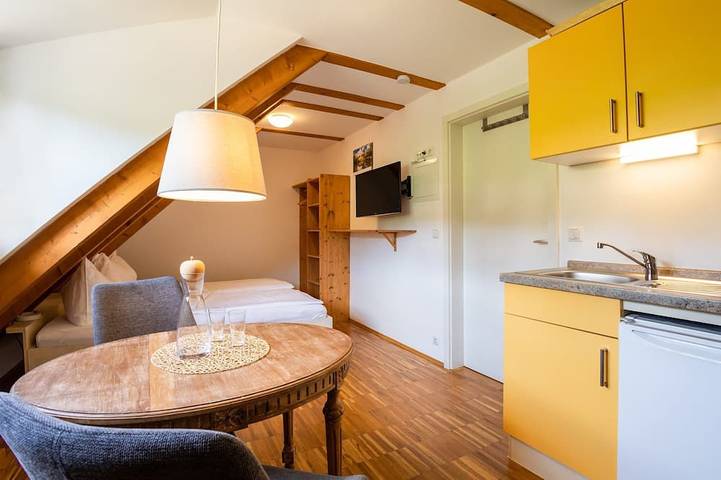 Ganze Wohnung, Studio im Haus Steinbach in Radebeul, Meißen Region