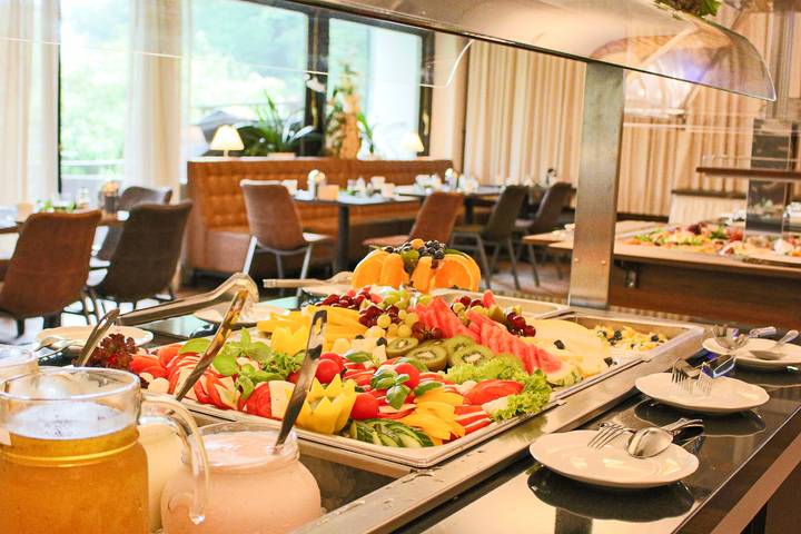 Forsthaus Ferien - Hotel am Dobrock - Classic Einzelzimmer in Wingst, Cuxland
