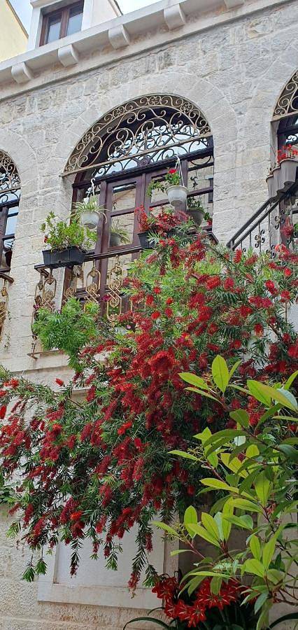 Chambre d’hôte pour 2 personnes, avec terrasse ainsi que jacuzzi et jardin à Trogir - 3