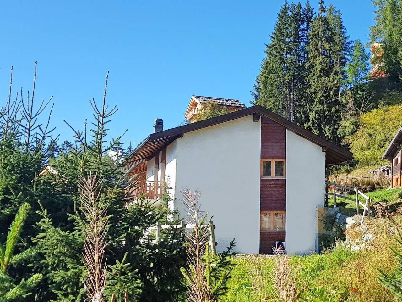 Chalet Arnica in Les Masses, Vex