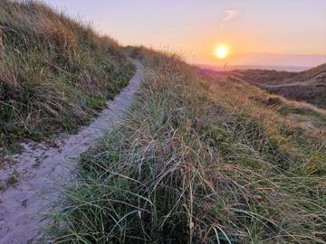 Ferienhaus für 6 Personen in Hirtshals, Tannisbucht, Bild 3