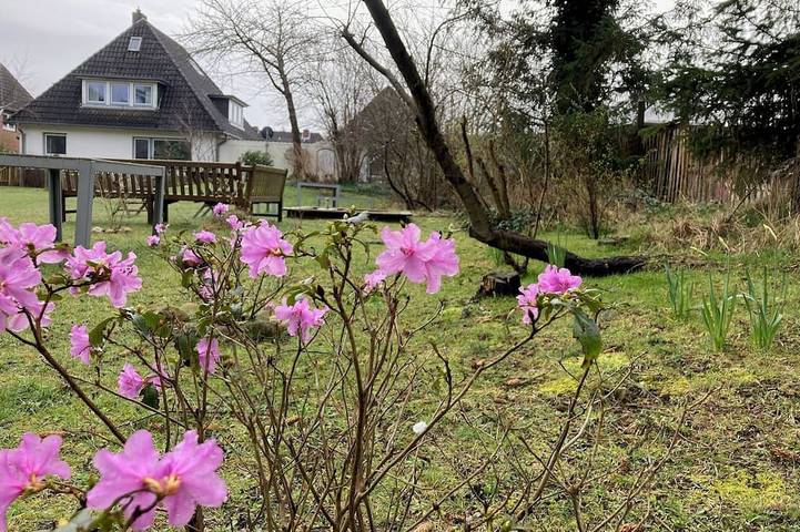 Ferienhaus für 10 Personen, mit Terrasse und Sauna sowie Garten auf Amrum - 4