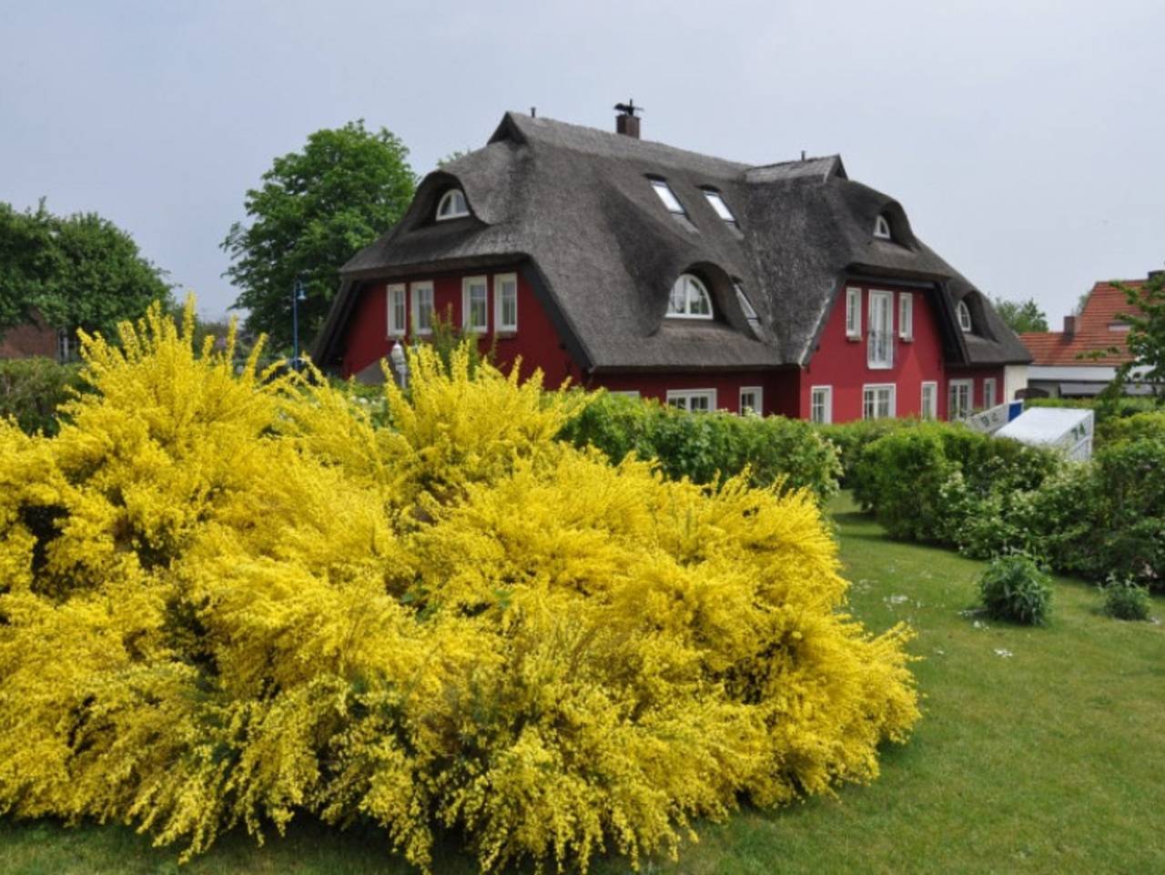 Ganze Ferienwohnung, Karolas Landhus unterm Reetdach - 08 Ferienappartement in Alt Reddevitz, Mönchgut