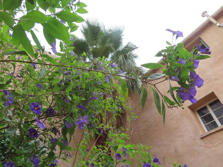 Location de vacances pour 13 personnes, avec vue et jardin à Gabian - 2