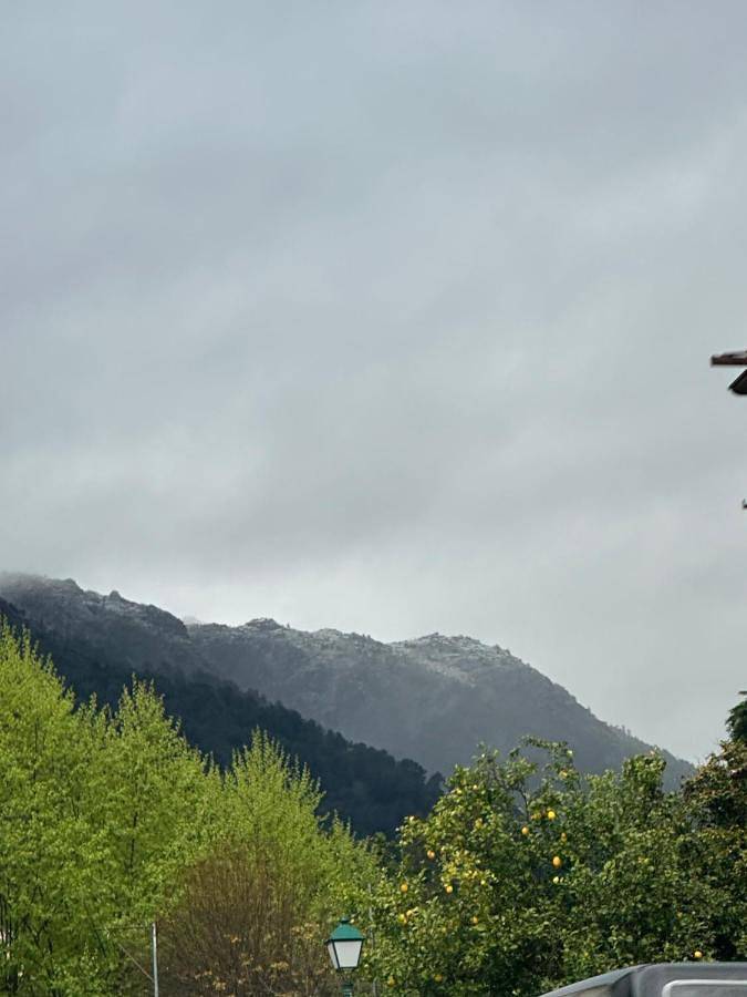 Gîte pour 3 personnes, avec vue et balcon, animaux acceptés dans Campo Do Gerez - 4