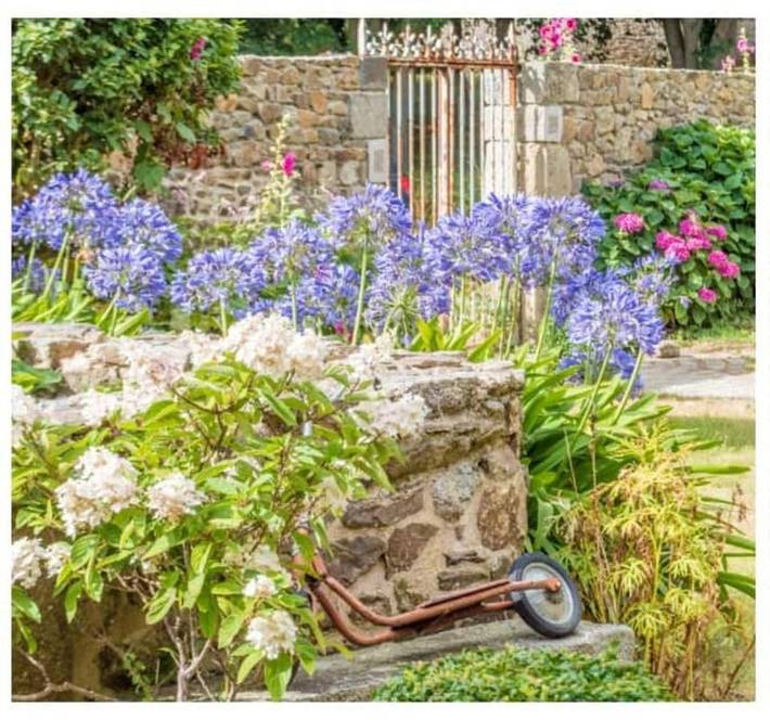 Location de vacances pour 6 personnes, avec jardin ainsi que jacuzzi et terrasse dans Plage du Palus - 3