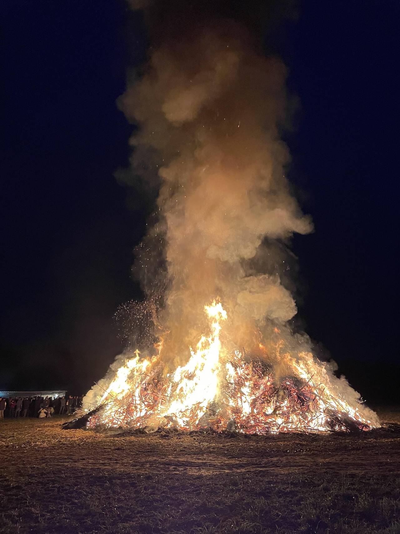 Ganze Ferienwohnung, Appartement/Fewo, Dusche, Wc, 2 Schlafräume in Garlstorf, Nordheide