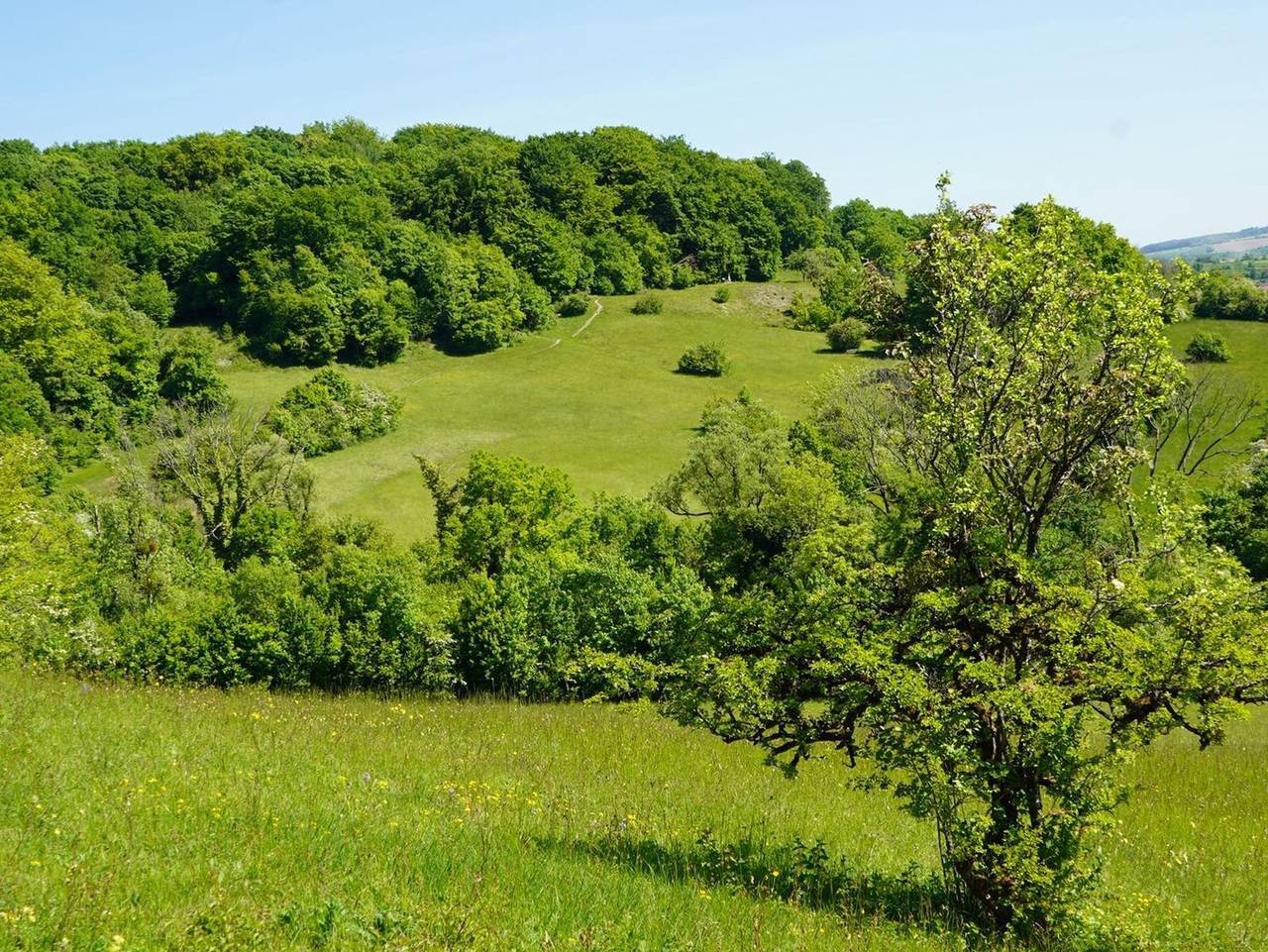 Ganze Ferienwohnung, Ferienwohnung Nagel - Appartement/Fewo, Dusche und Bad, Wc, 2 Schlafräum in Gersheim, Saarpfalz-Kreis