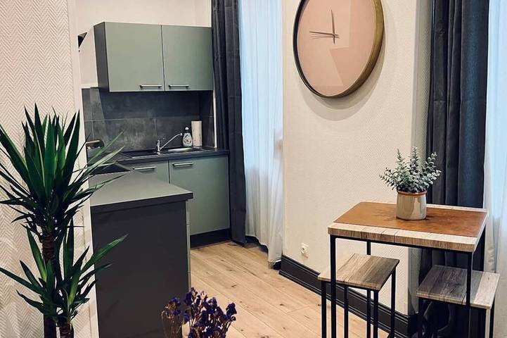 Entire apartment, Superb equipped studio - Mulhouse ville in Mulhouse, Mulhouse region