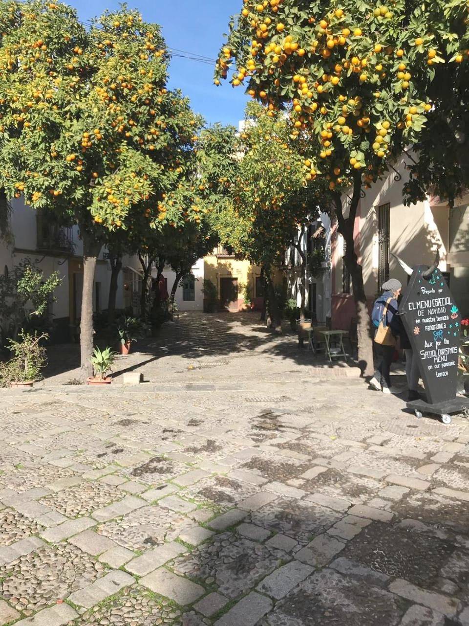 Apartamentos Flamenco B&B in Cerro-Amate, Séville