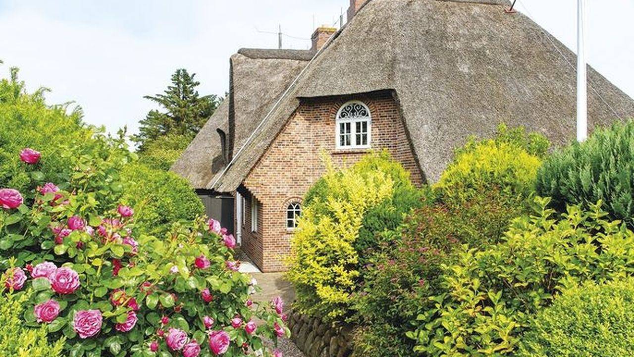 Ferienhaus für 4 Personen (105 m²) in Kampen in Kampen (Sylt), Sylt