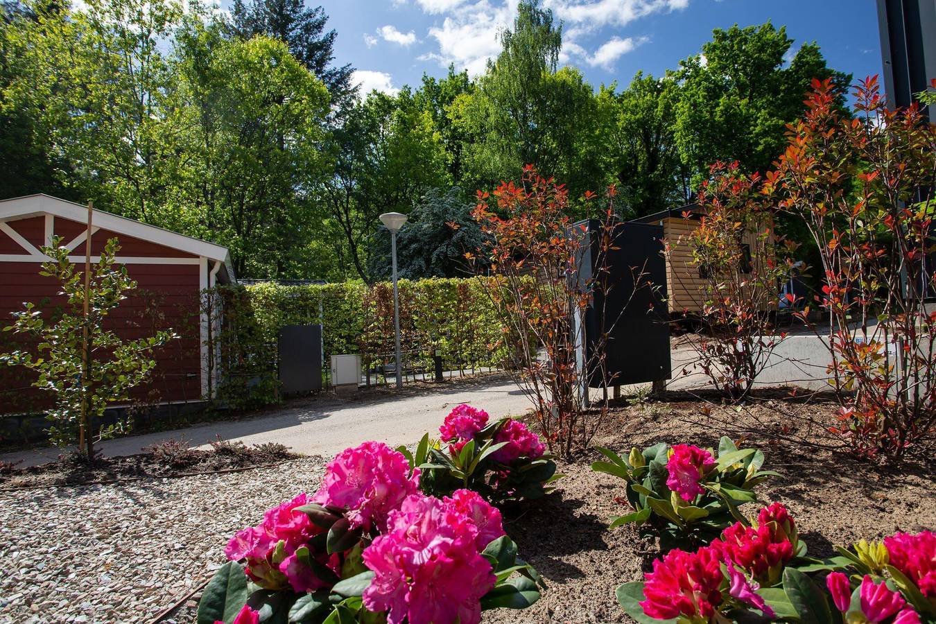 Vakantiepark De Thijmse Berg — Eco Cottage Comfort | 4 personen in Rhenen, Provincie Utrecht