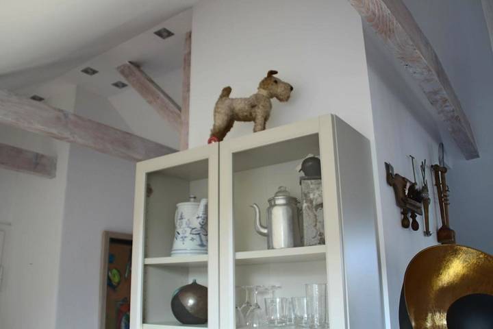 Gîte pour 4 personnes, avec jardin et vue, animaux acceptés dans Bayreuth - 4