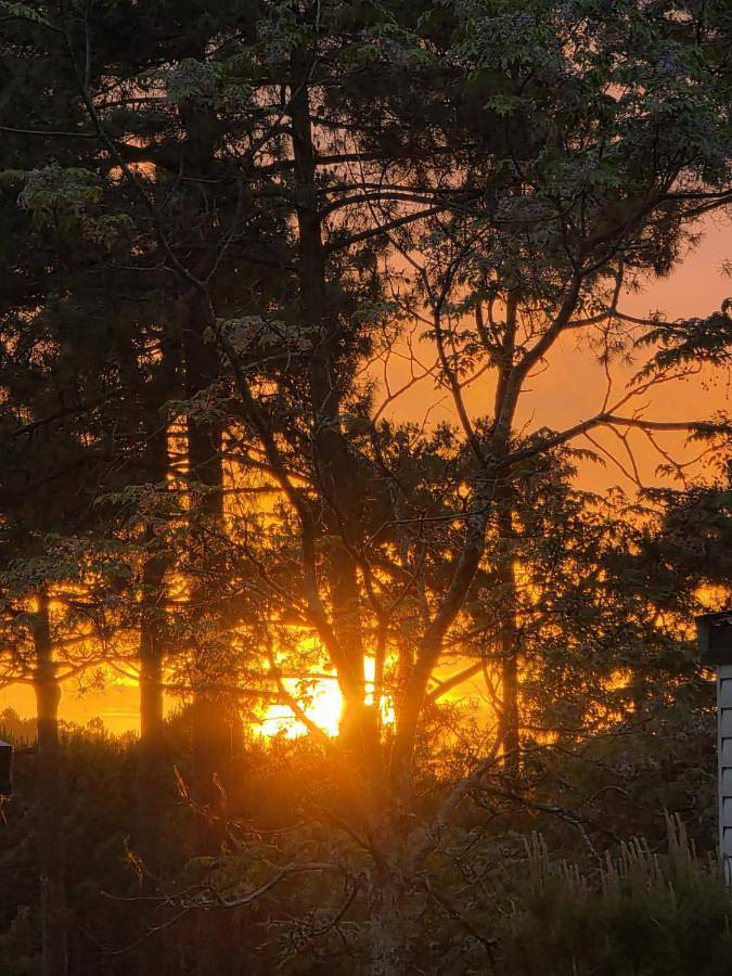 Camping pour 6 personnes, avec terrasse et jardin ainsi que piscine et jacuzzi dans Claouey - 2