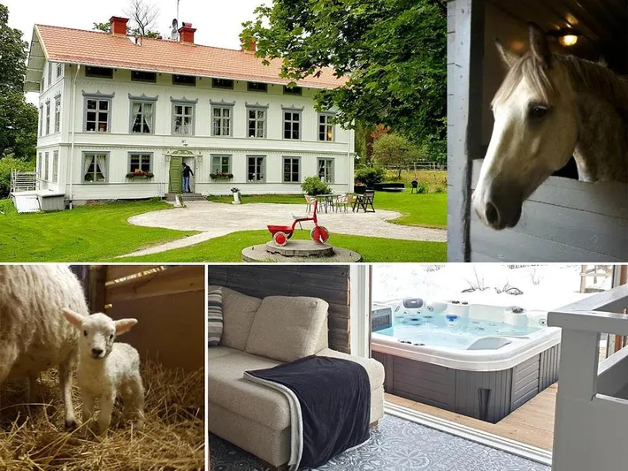 Privatzimmer für 3 Personen, mit Ausblick und Garten, mit Haustier - 1