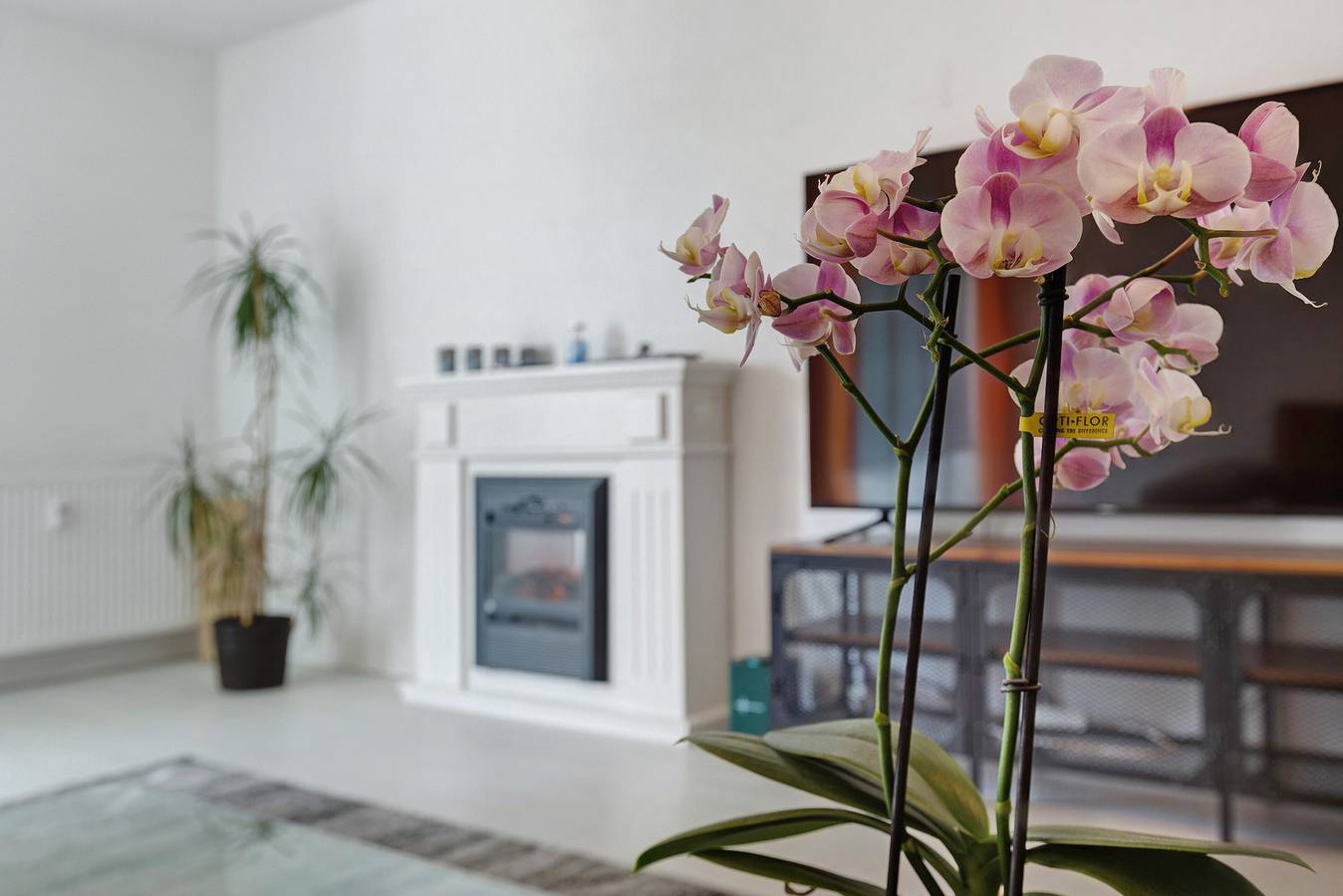 Ganze Wohnung, Ferienwohnung 'Eva Ferienwohnung' mit Balkon und Wi-Fi in Engen, Hegau