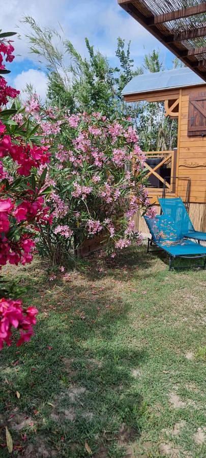 Location de vacances pour 2 personnes, avec vue ainsi que terrasse et jardin dans Bac du sauvage - 3