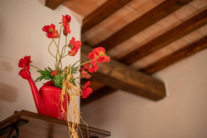 Værelse for 2 personer med have in Manciano (kommune), Grosseto Provinsen