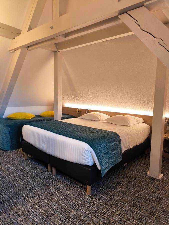 Hôtel pour 3 personnes, avec piscine et jardin, animaux acceptés à Biesheim - 2