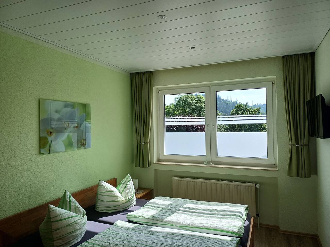 Ganze Wohnung, Haus Nietmann Wohnung 1- Kleine, gemütliche Wohnung mit modernen Akzenten. W-Lan, E-Auto Ladestation in Altenau, Harzvorland