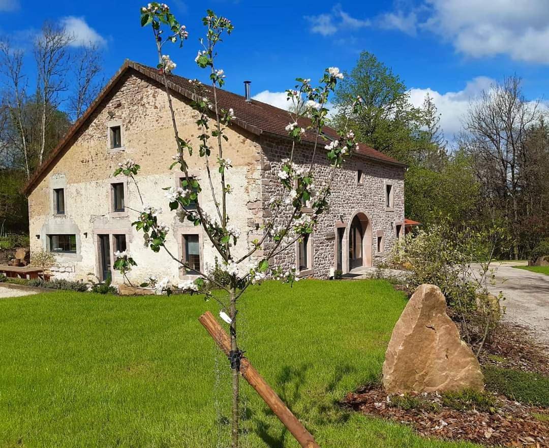 Seven-Bedroom House in Saint-Nabord, Région d'Épinal