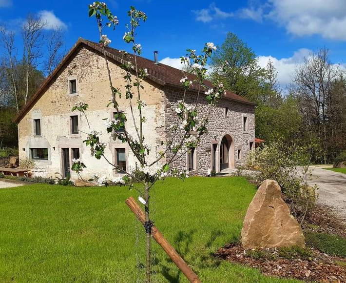 Maison de vacances pour 14 personnes, avec jardin ainsi que sauna et jacuzzi dans les Vosges - 2