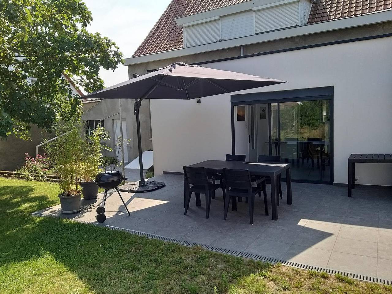 Les castors in Zuydcoote, Côte des dunes de Flandres