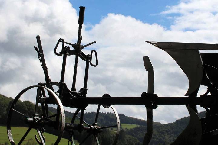 Hôtel pour 3 personnes, avec terrasse à Steinen - 4