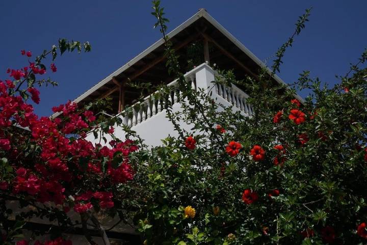 Maison d’hôte pour 2 personnes, avec Terrasse et Jardin dans Patmos - 4