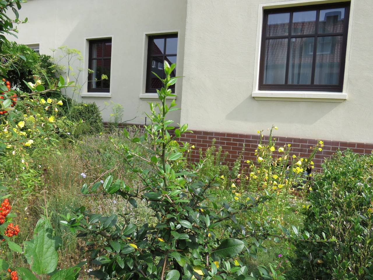 Ganze Ferienwohnung, Ferienwohnung Waldweg in Dessau, Dessau-Wörlitzer Gartenreich