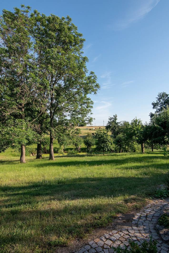 Ganze Ferienwohnung, Ferienhaus Görmer - Ferienhaus mit Wasserbett in Lumpzig, Burgenlandkreis