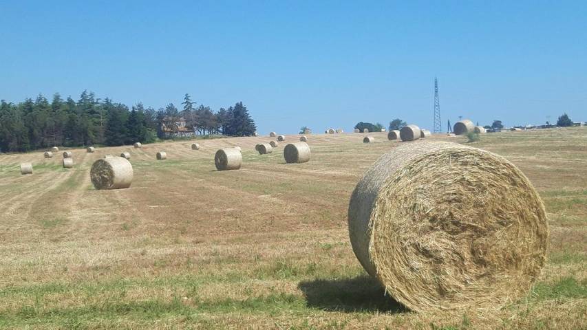 Chambre d’hôte pour 3 personnes, avec jardin et terrasse à Misano Adriatico - 3