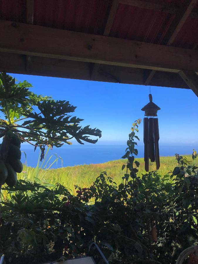 Gîte pour 2 personnes, avec terrasse et jardin à Les Trois-Bassins - 3
