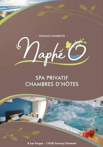 Chambre d’hôte pour 3 personnes, avec sauna ainsi que jacuzzi et jardin à Tonnay-Charente
