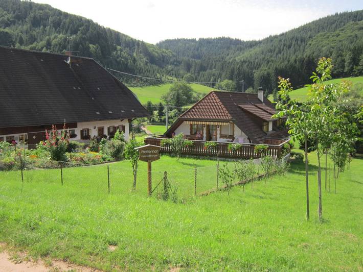 Ganze Ferienwohnung, Gästehaus Pfaffenhof - Ferienwohnung Pfaffenhof, 70qm, 2 Schlafzimmer, mit Terrasse, max. 4 Personen in Seelbach, Mittlerer Schwarzwald
