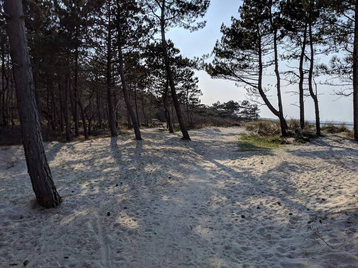 Luxurioses Refugium in Hornbaek in Hornbæk, Kattegat Küste