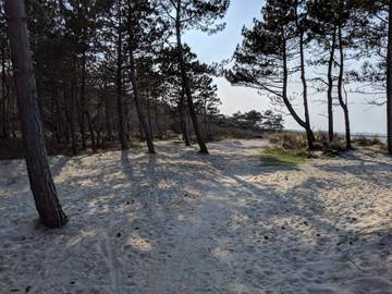 Feriehus til 14 Personer i Hornbæk, Helsingørregionen, Bilde 4