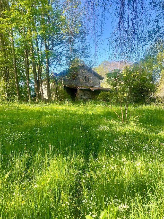 Location de vacances pour 8 personnes, avec jardin et vue à Ambert - 3
