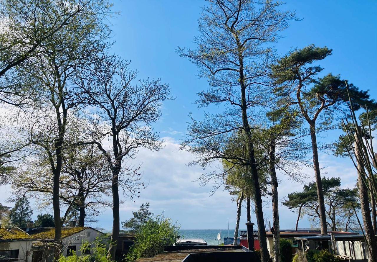 Ganze Wohnung, Ostsee-Gutshaus Am Salzhaff Pepelow nähe Rerik- am Meer residieren! in Klein Strömkendorf, Salzhaff