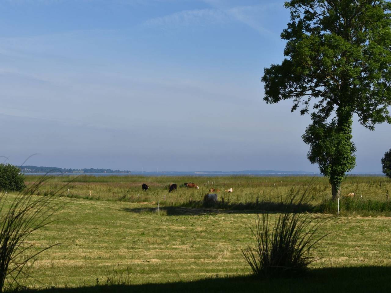 Ferienhaus Mein Ostseeplätzchen am Meer 9 in Niesgrau, Schleswig-Flensburg