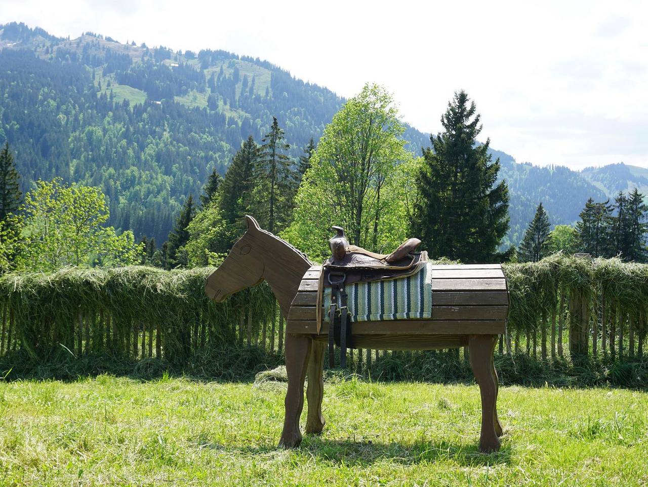 Ganze Ferienwohnung, Alte Schmiede in Balderschwang, Bayerisch Schwaben