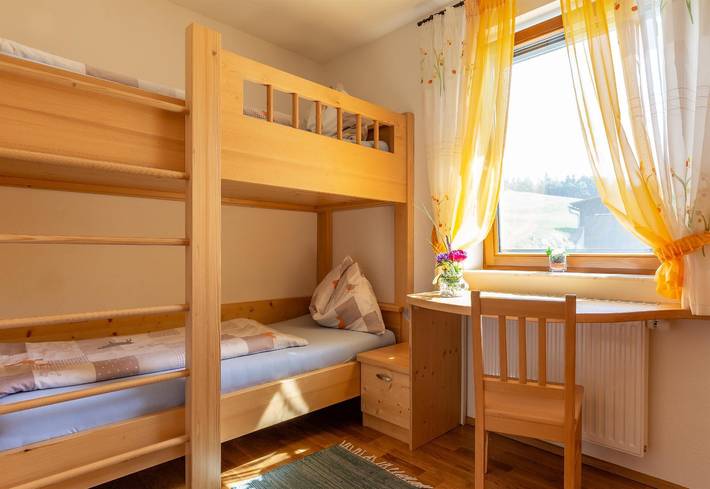 Ganze Ferienwohnung, Appartement/Fewo, Bad, Wc, 2 Schlafräume in Passail, Steirerland