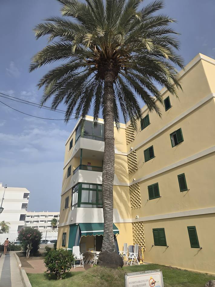Apartamento entero, Loft accesible para silla de ruedas Las Olas, cerca de la playa in Maspalomas, San Bartolomé de Tirajana