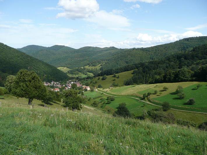 Gîte pour 4 personnes, avec jardin, animaux acceptés dans le Haut-Rhin - 4