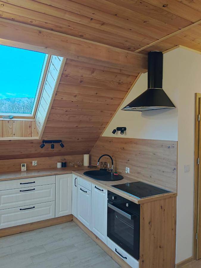 Cały apartament, One-Bedroom Apartment in Brenna, Karpaty (Polska)