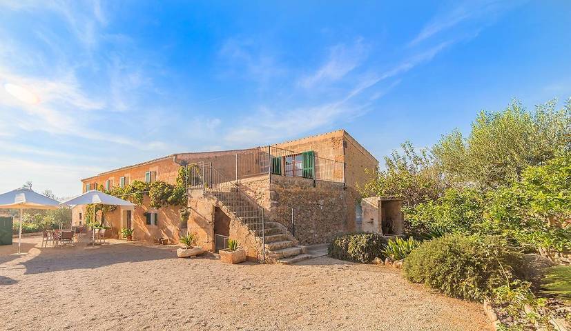 Large pool finca Olivera near Cas Concos Mallorca in Felanitx, South Majorca